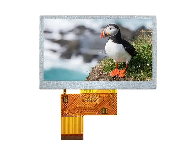 RG-T043BWSA-01 - 4.3" 800x480 IPS TFT LCD module