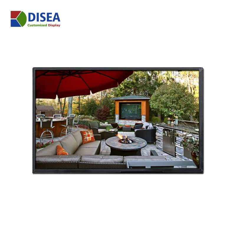 DS-T101BIHA-01 10.1 inch 1280x800 IPS TFT LCD module